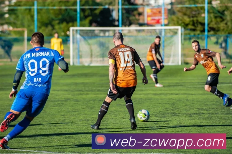 足彩网平台生态图